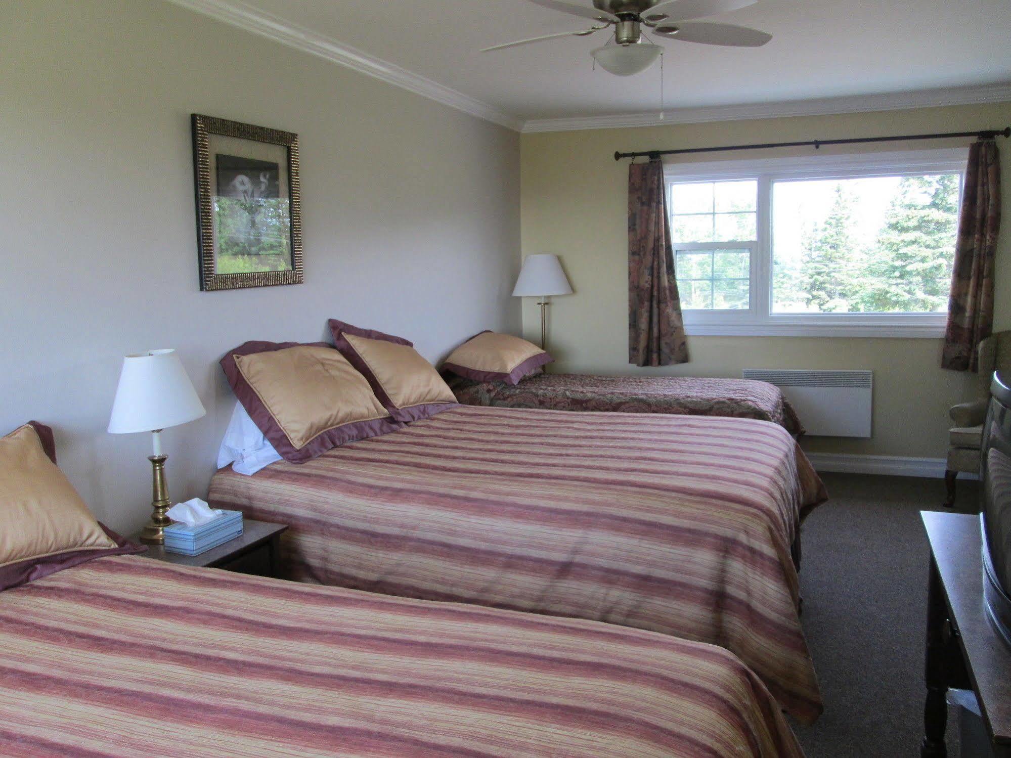 Scenic Motel Moncton Exterior photo